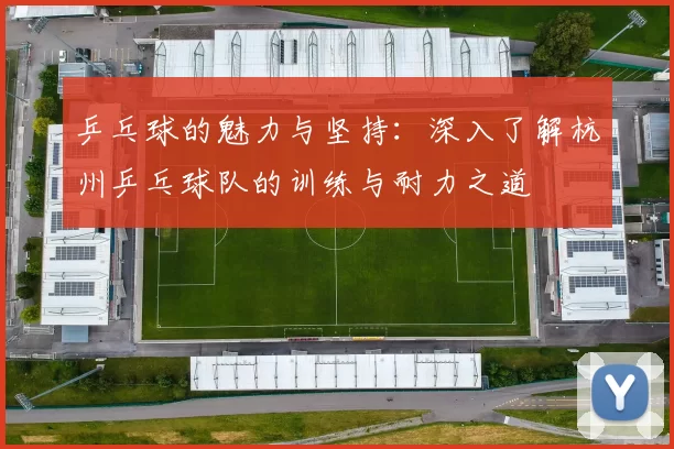 乒乓球的魅力与坚持：深入了解杭州乒乓球队的训练与耐力之道