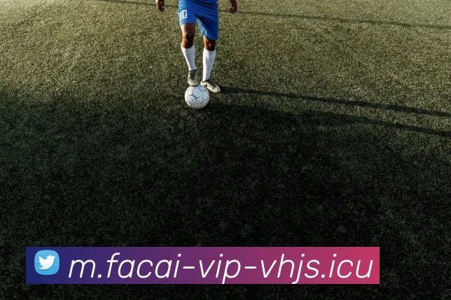 MK体育平台生态图